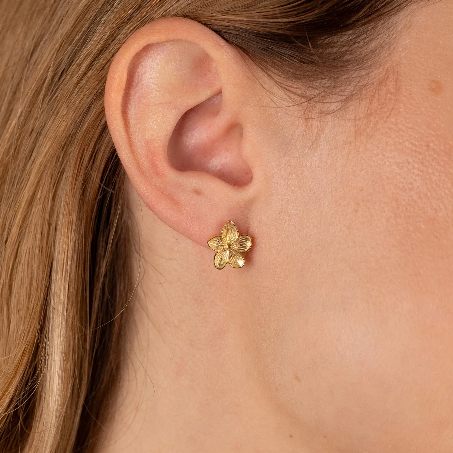 Sisi Copenhagen Ane Golden Stud ørestikker 12 mm forgyldt
