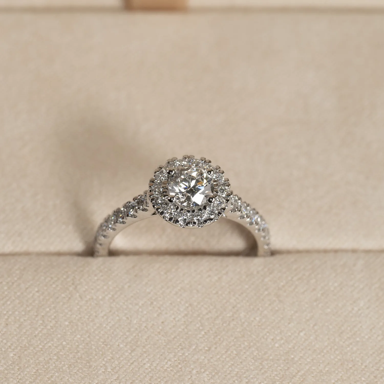 Sisi Copenhagen Round Halo Alliance 0,85ct ring hvidguld