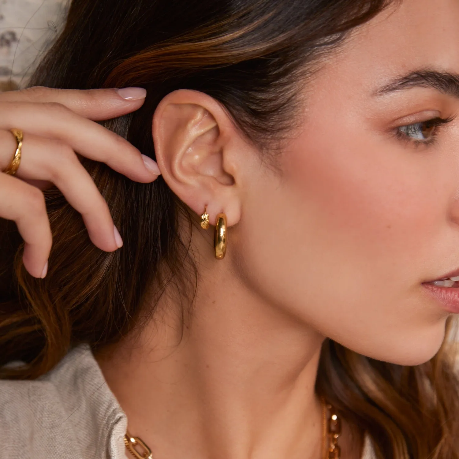 Orelia Polished Chubby Mid-Sized Hoop øreringe guld