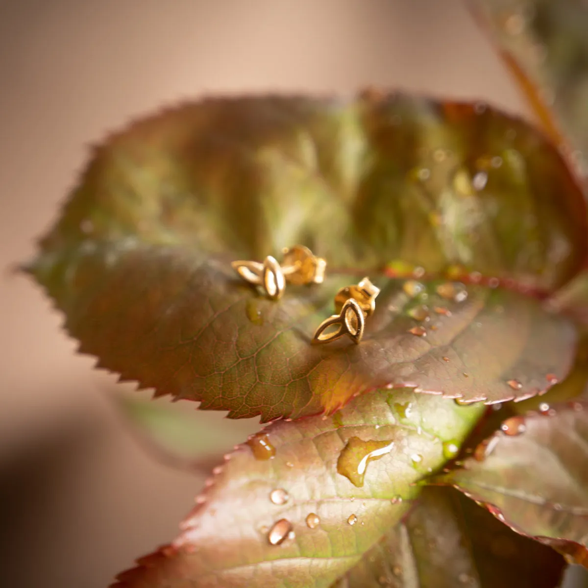 Sisi Copenhagen Bloom Golden ørestikker forgyldt