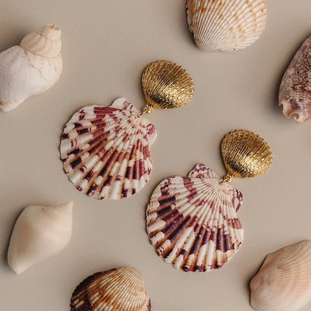 Orelia Statement Calico Shell øreringe guld med skjold