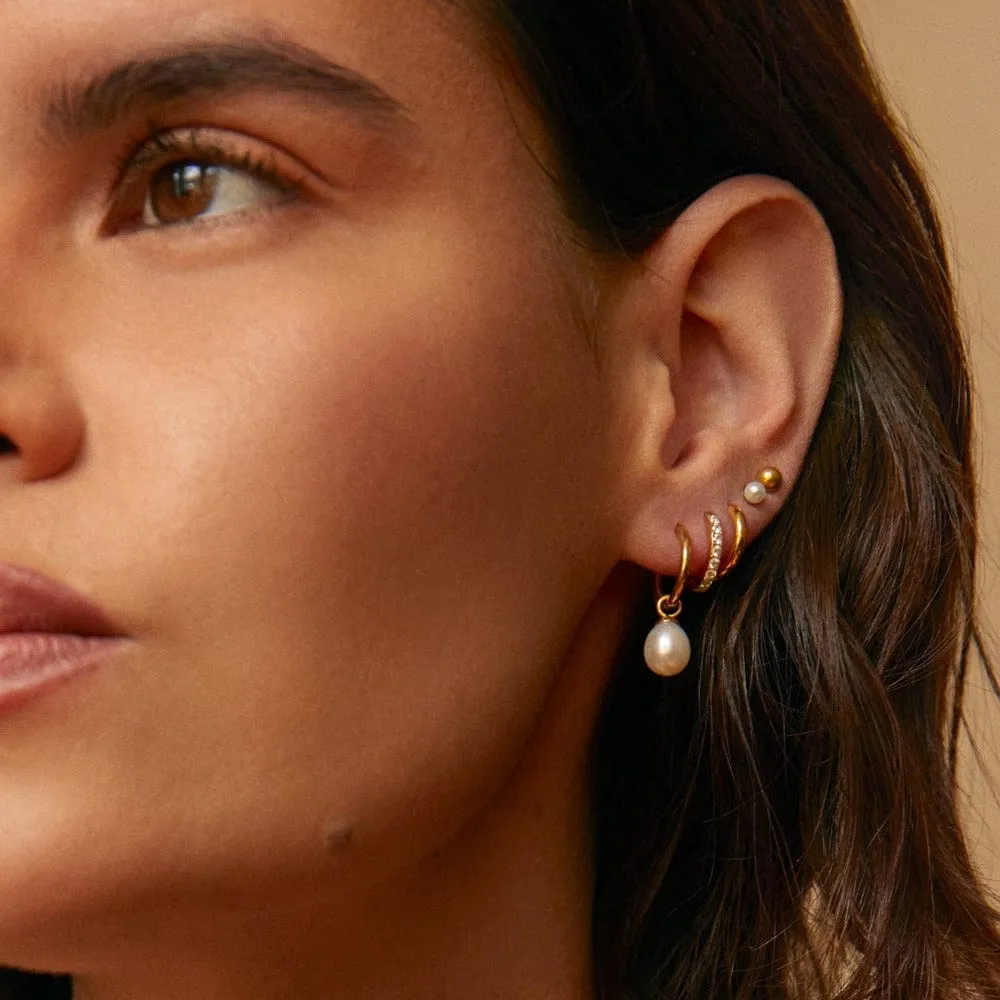 Orelia LUXE Pearl Drop Hoop øreringe guld