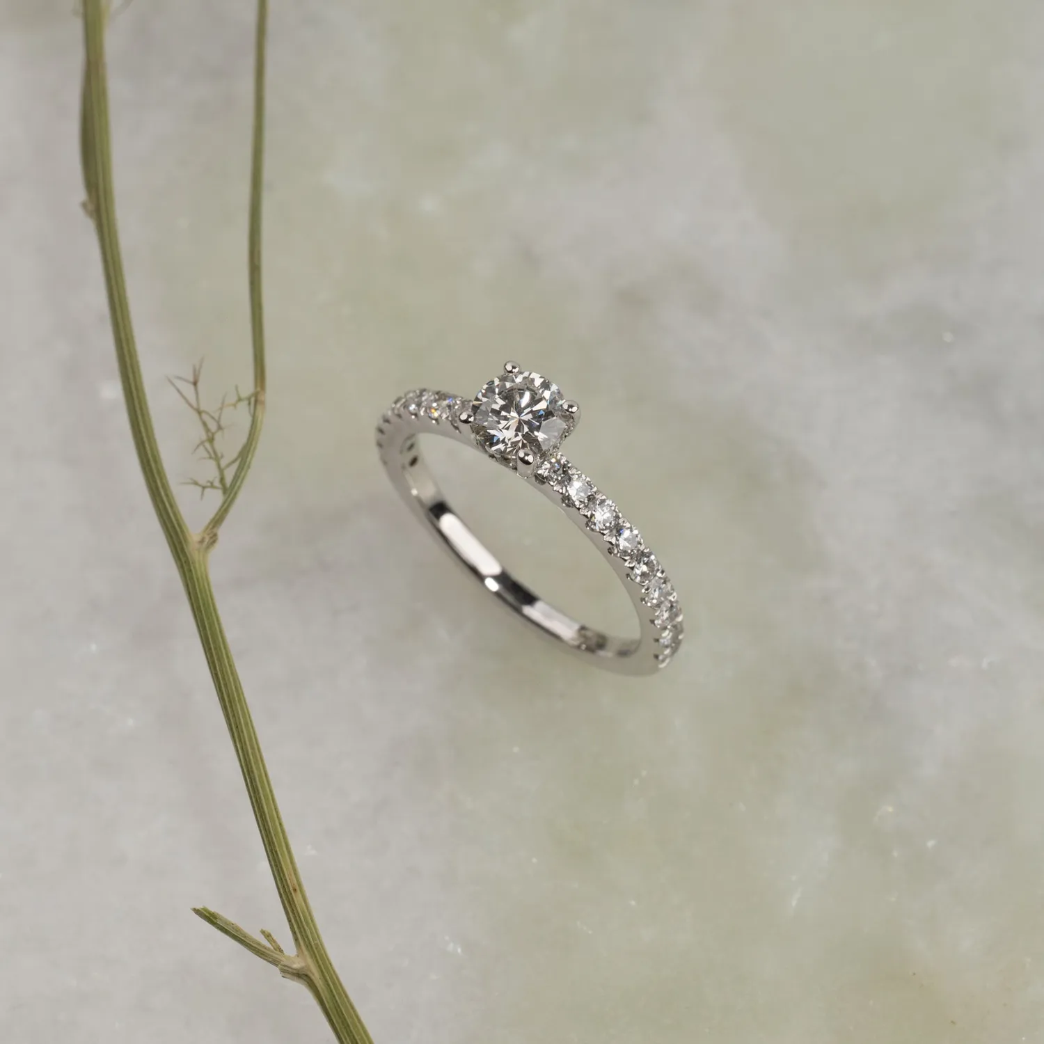 Sisi Copenhagen Hidden-Halo Alliance ring 14 kt diamanter
