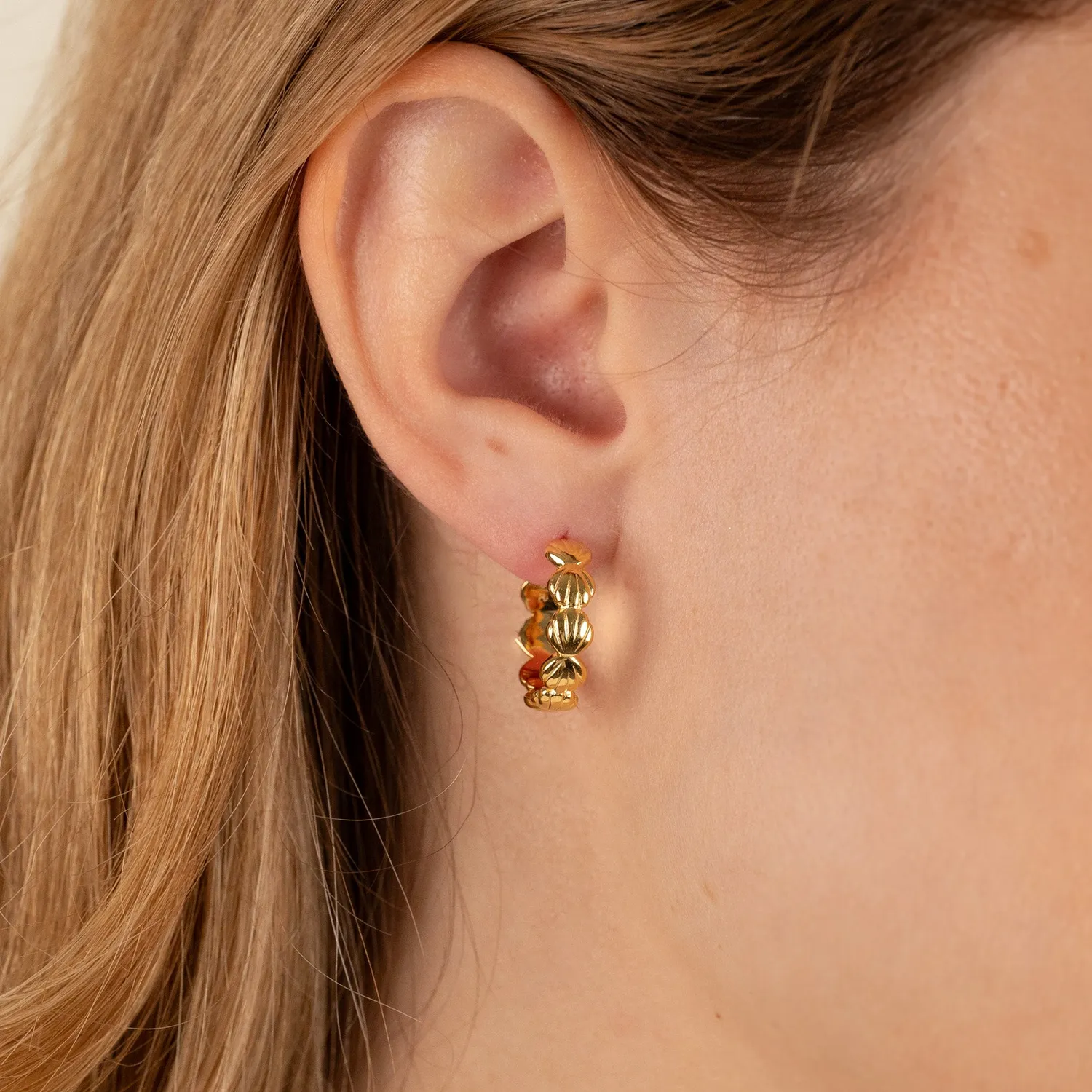 Sisi Copenhagen Merina Golden creoler musling 20 mm