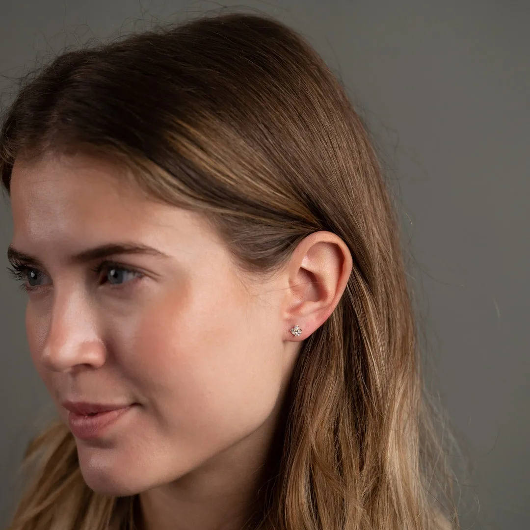Sisi Copenhagen Carrie Crystal guld ørestikker par zirkonia