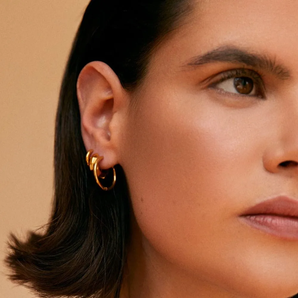 Orelia LUXE Mid-Size Hoop øreringe guld