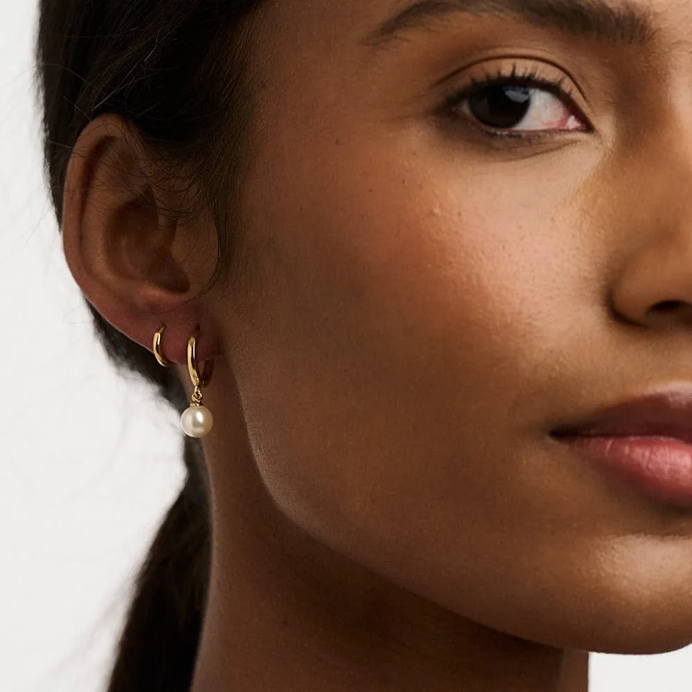 Orelia Pearl Drop huggie øreringe guld med perle