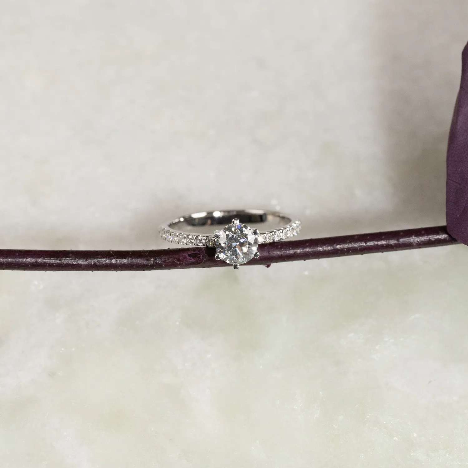 Sisi Copenhagen Classic Alliance diamantring 0,9 ct hvidguld