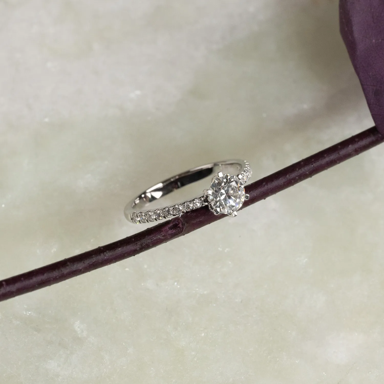 Sisi Copenhagen Classic Alliance ring hvidguld 0,7ct 52